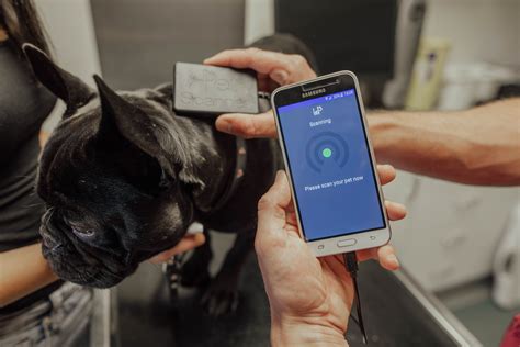 microchips for dog tracking